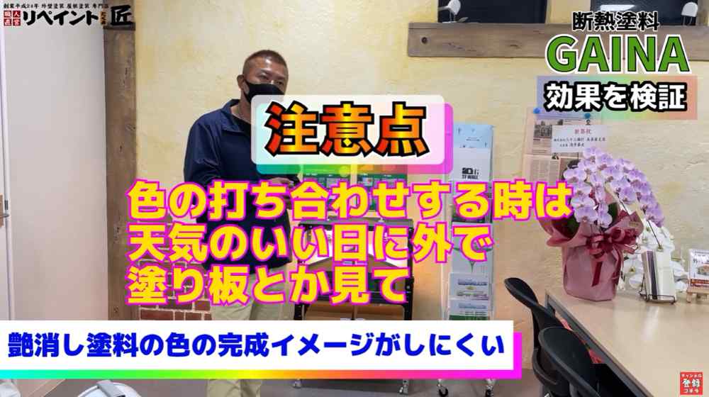 ガイナのデメリットと注意点