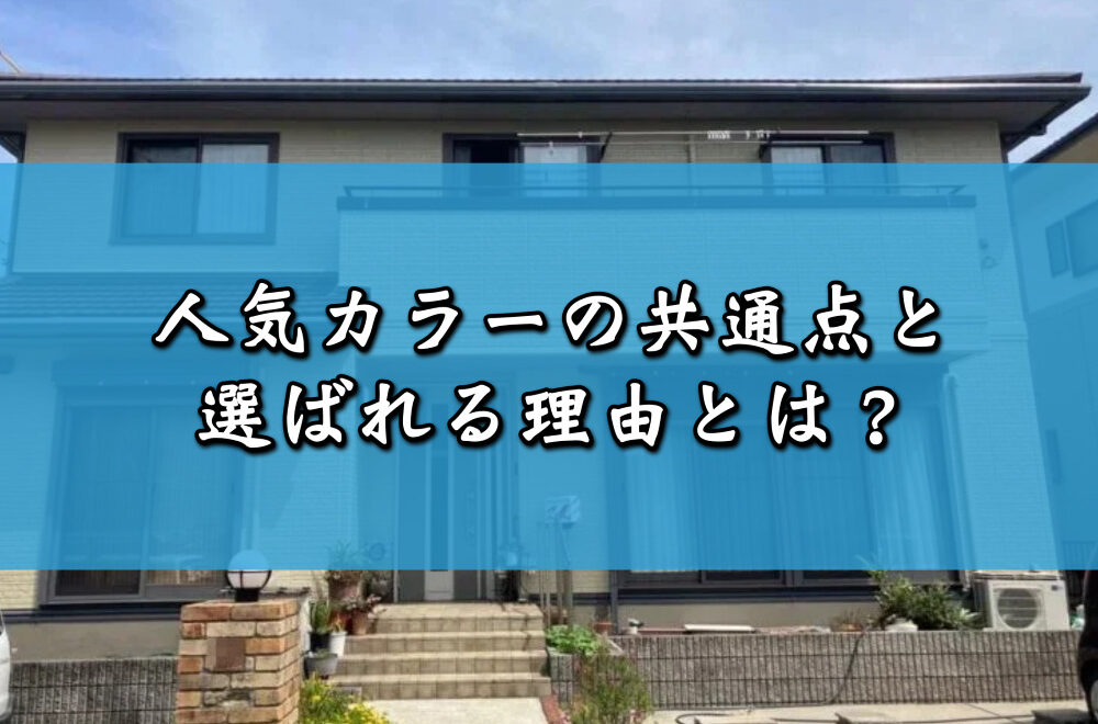 人気カラーの共通点と選ばれる理由とは？