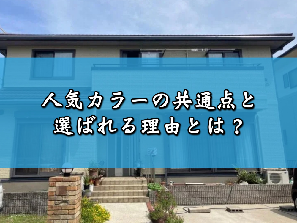 人気カラーの共通点と選ばれる理由とは？